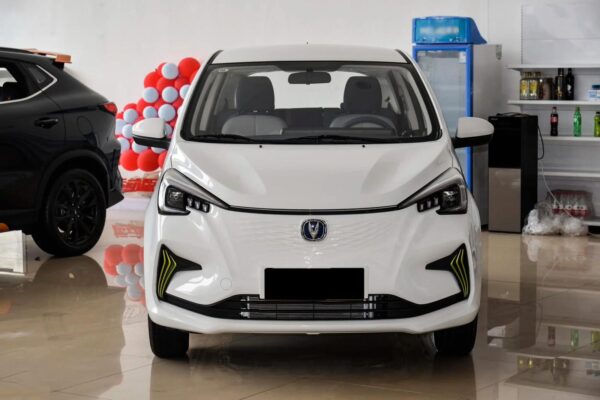 2021 Changan Benben E-Star