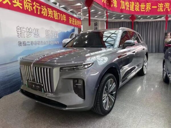2024 CHINESE HONGQI EHS9