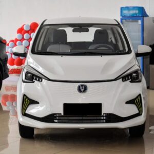 2023 Changan Ben Ben E star  -2 Unit, White & light Green.